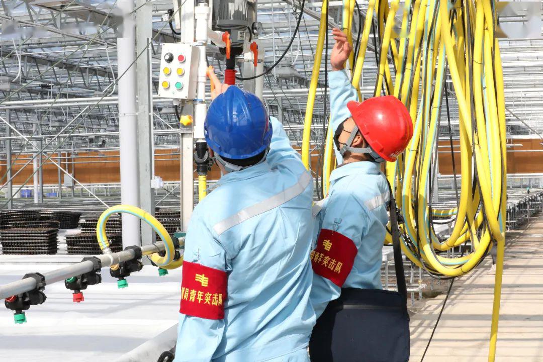 草海機場最新動態(tài)揭秘，建設進展、航班信息及未來展望