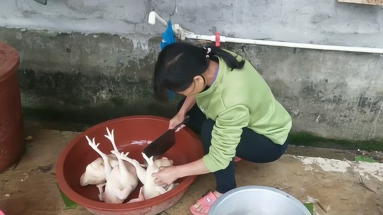 關(guān)于阿梅殺雞視頻的理性分析與網(wǎng)絡(luò)倫理道德探討，警惕涉黃內(nèi)容侵蝕社會(huì)倫理底線。