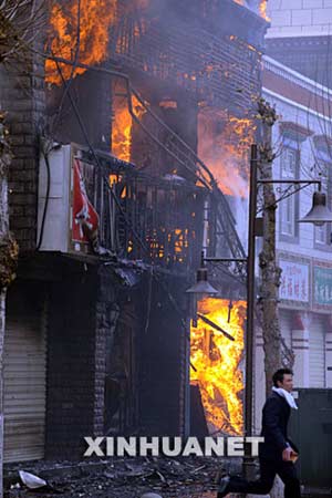 西藏最新事件，雪域高原的溫馨日常觀察
