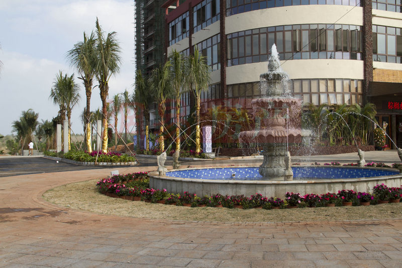 棕櫚水城最新動態(tài)，塑造理想生活新標(biāo)桿！