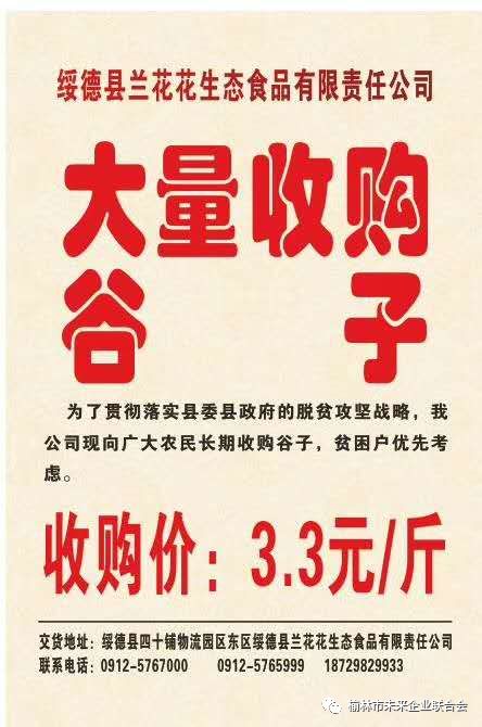 淄川最新財(cái)務(wù)招聘，職業(yè)發(fā)展的理想選擇