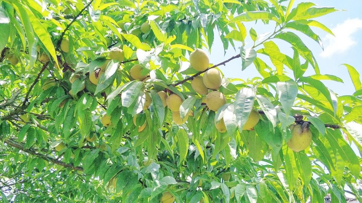 簡暗最新小說揭秘科技新品，智能生活體驗(yàn)新紀(jì)元