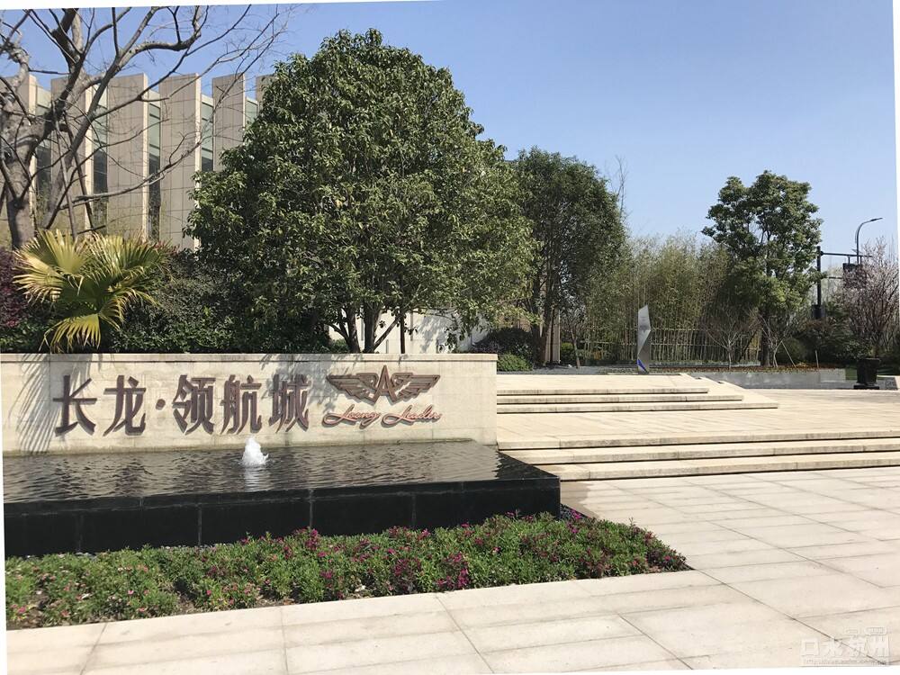 長龍領(lǐng)航最新動態(tài)，駕馭變革，開啟知識海洋的勵志之旅