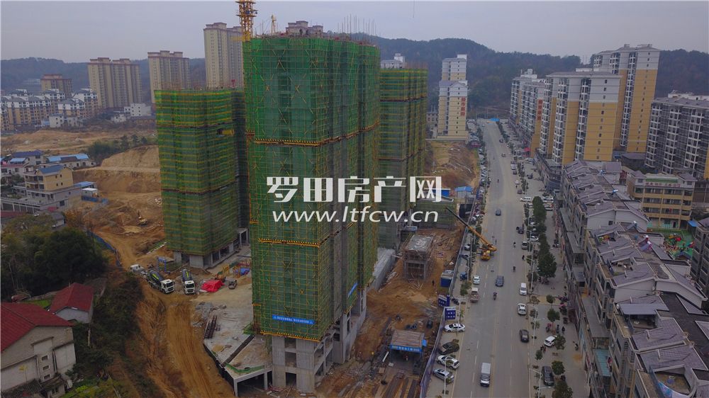 羅田最新房價揭秘，洞悉市場動態(tài)，掌握房價走勢！