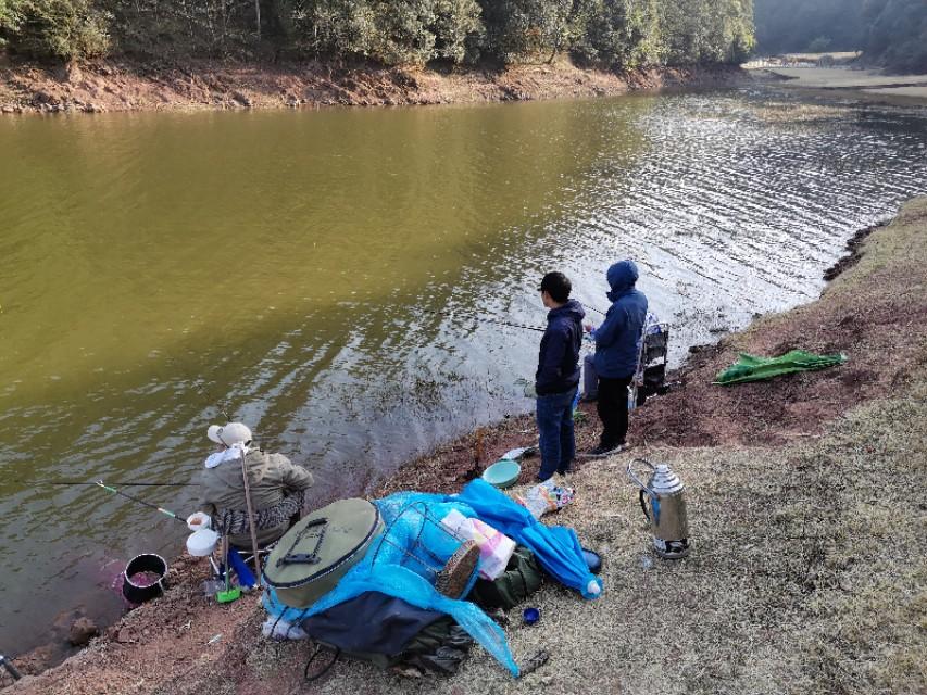 最新水庫釣魚視頻，探索釣魚樂趣與技巧全攻略