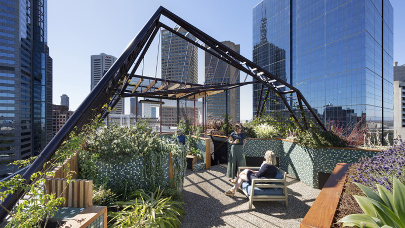 最新樓頂花園設(shè)計與展示，綠意盎然，繁花似錦的空中花園體驗