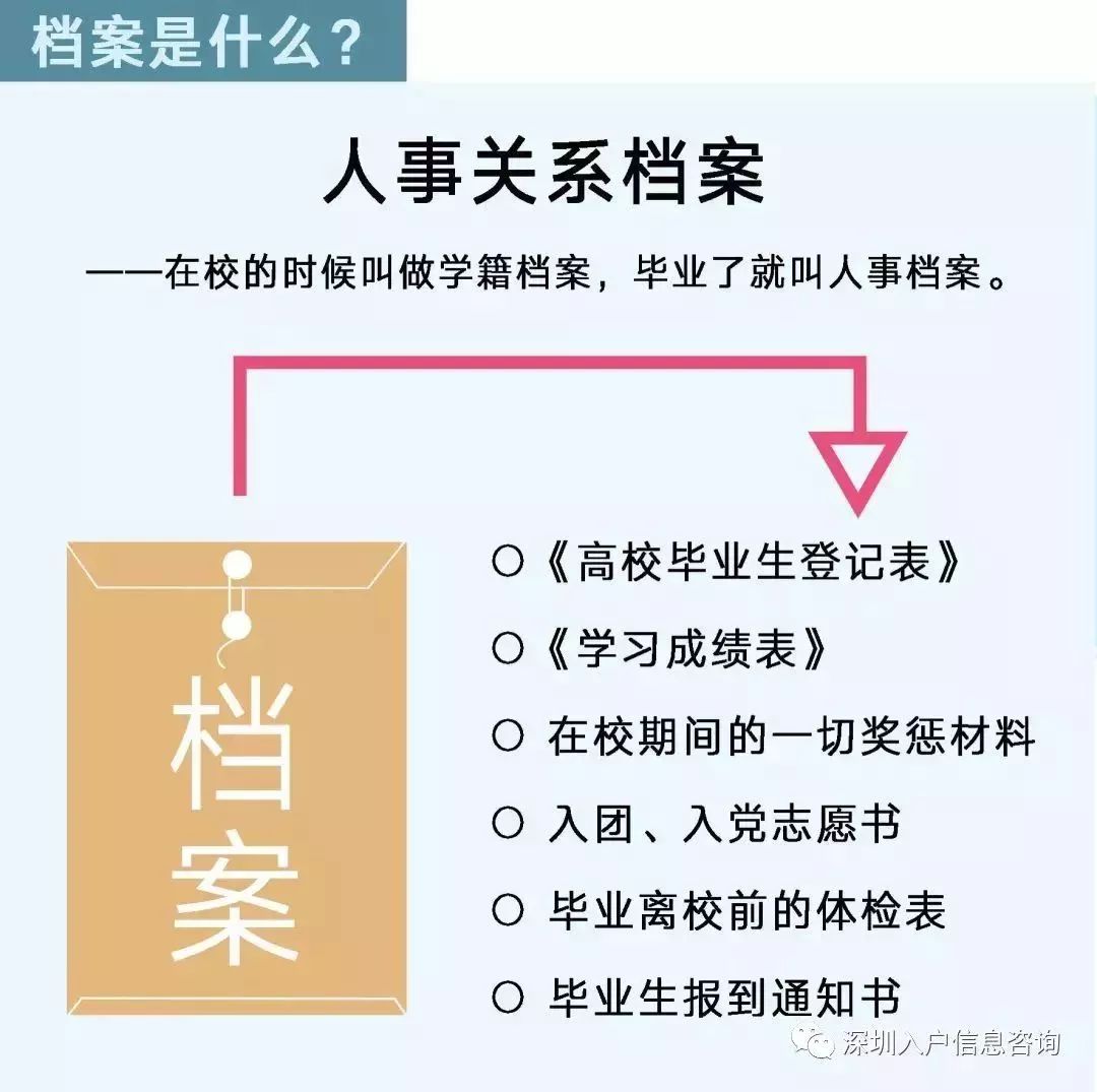 檔案人員補貼最新觀點論述，探討補貼政策與檔案人員發(fā)展的關(guān)系
