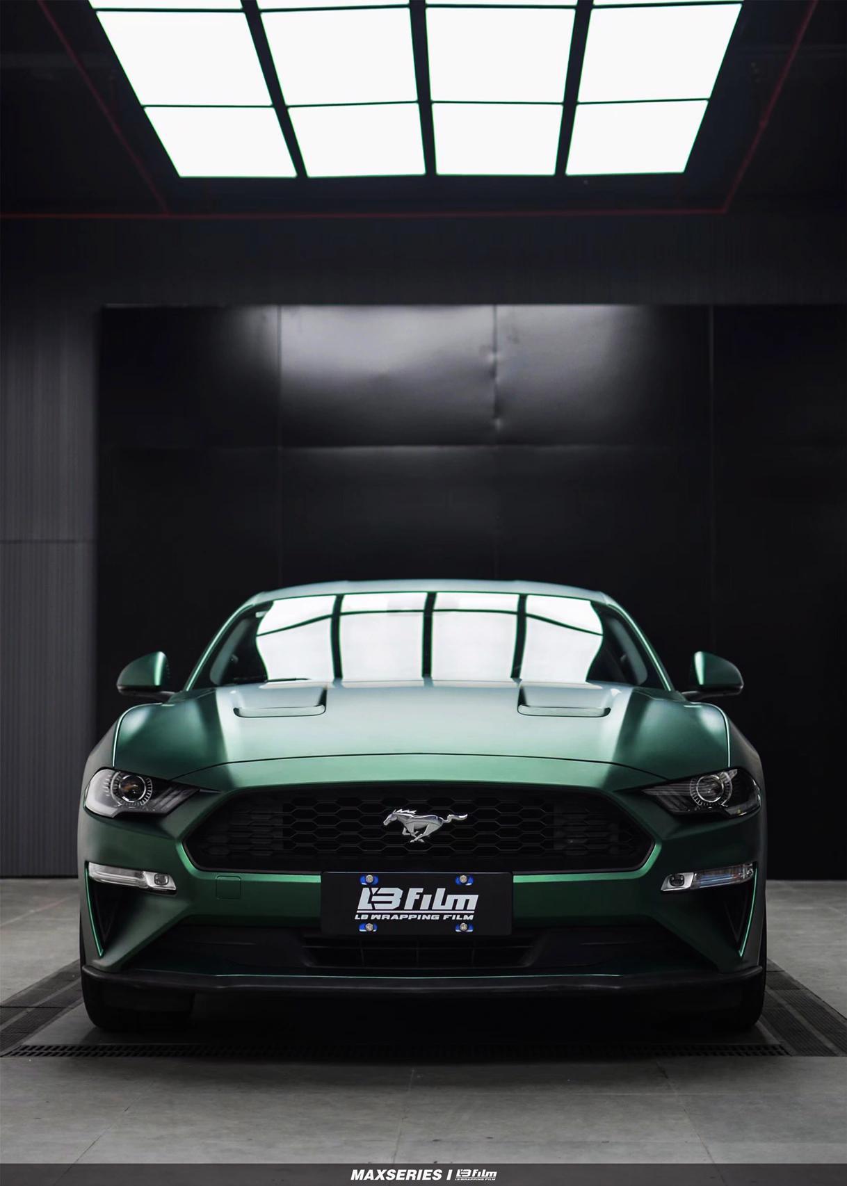 最新野馬汽車，技術(shù)革新與市場競爭的展現(xiàn)