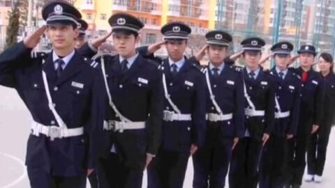 寧國最新保安招聘及其探討，行業(yè)現(xiàn)狀與發(fā)展趨勢分析