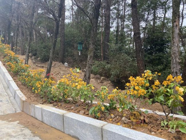 桂平手工，傳統(tǒng)與創(chuàng)新的完美交融