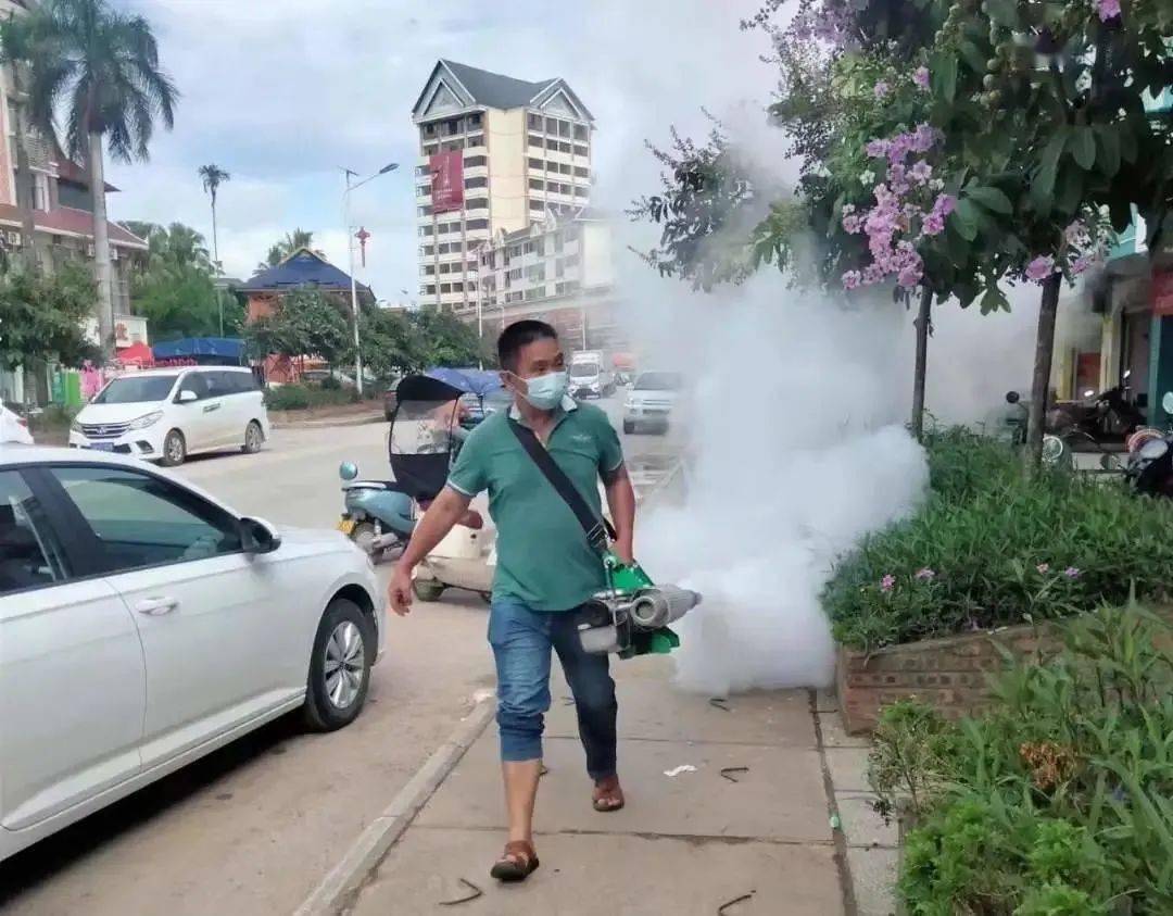 景洪登革熱最新疫情動態(tài)，挑戰(zhàn)與自信之光的博弈