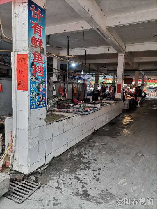 最新魚檔轉(zhuǎn)讓，把握商機(jī)，輕松開啟水產(chǎn)養(yǎng)殖事業(yè)之路