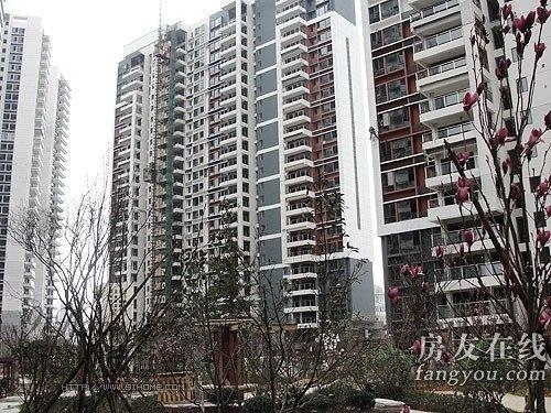 綠地長島公寓最新價格揭秘，小巷深處的隱藏寶藏