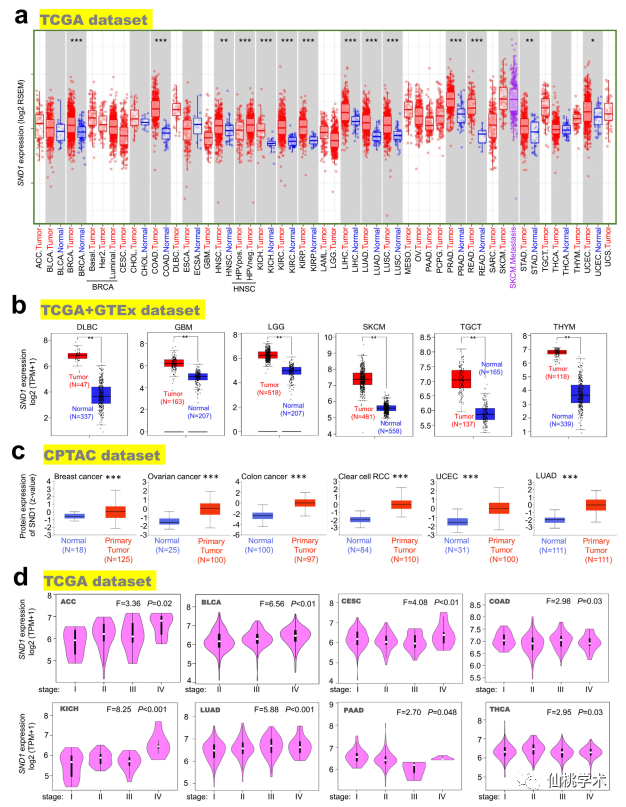 7884444最快開獎網(wǎng),深究數(shù)據(jù)應用策略_YHG85.375L版