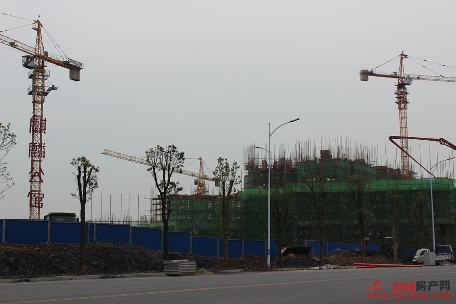 池州麒麟公館最新動(dòng)態(tài)揭秘，最新進(jìn)展與資訊更新