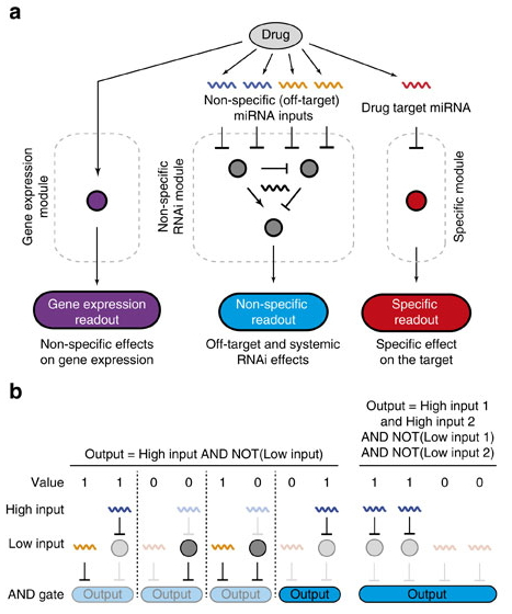 新澳精準(zhǔn)資料大全,定量解析解釋法_VRI83.899融合版