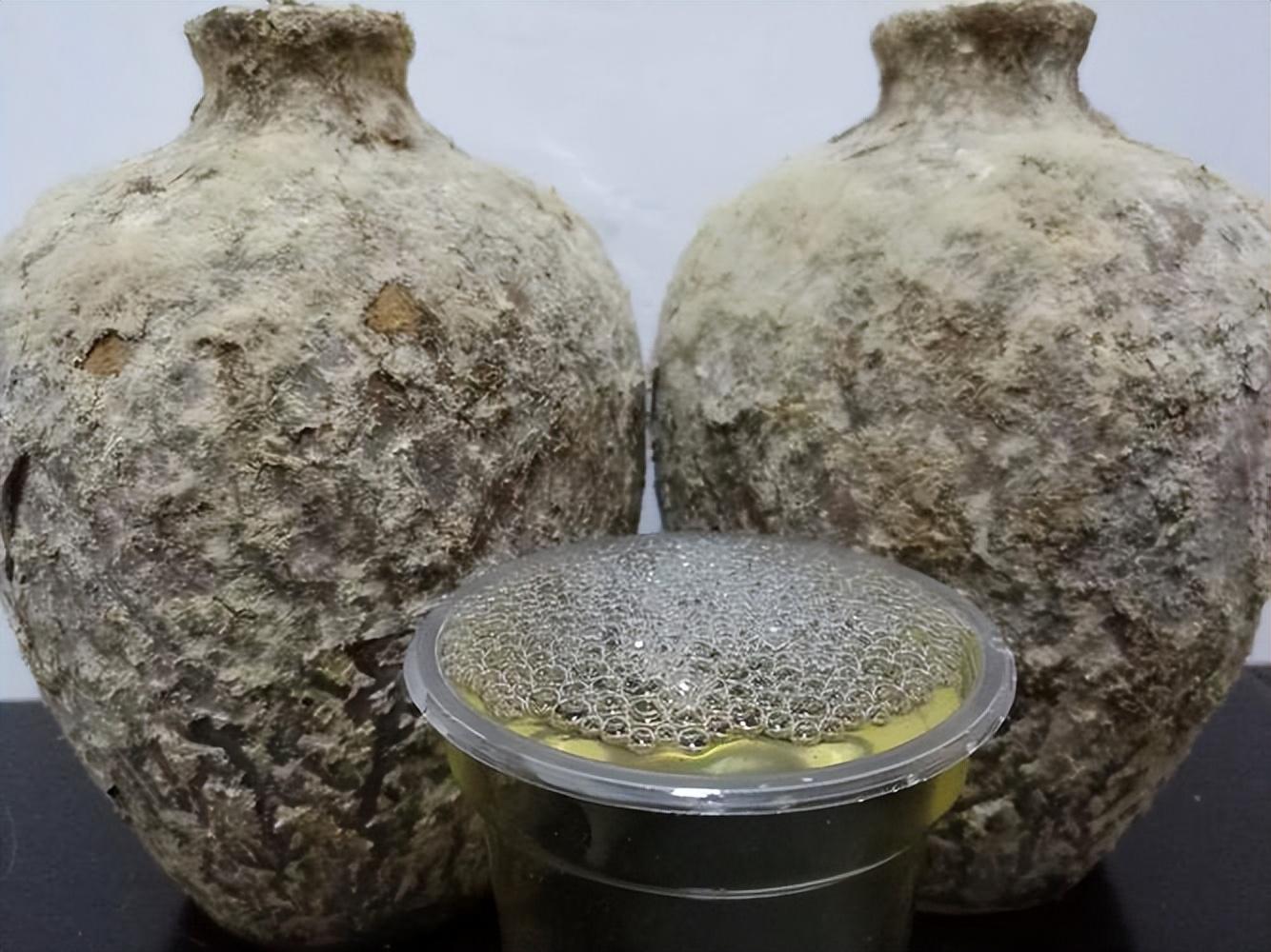 仁懷房屋出售最新信息，科技與家居融合，未來(lái)家居新體驗(yàn)重磅推出