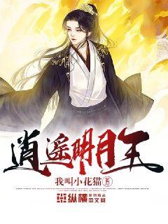 時代之光下的璀璨篇章，明月珰最新連載熱議熱議熱議！