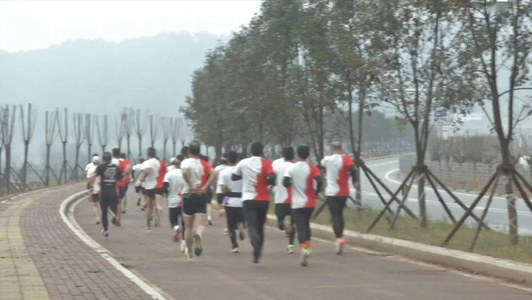 古田環(huán)湖路最新動(dòng)態(tài)揭秘，時(shí)代脈搏與城市發(fā)展的融合之路