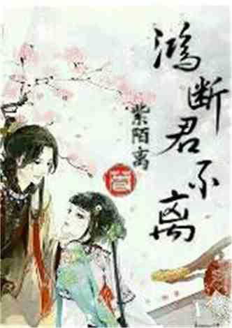 沈南汐最新小說，知識(shí)的力量，成就夢(mèng)想的翅膀之路