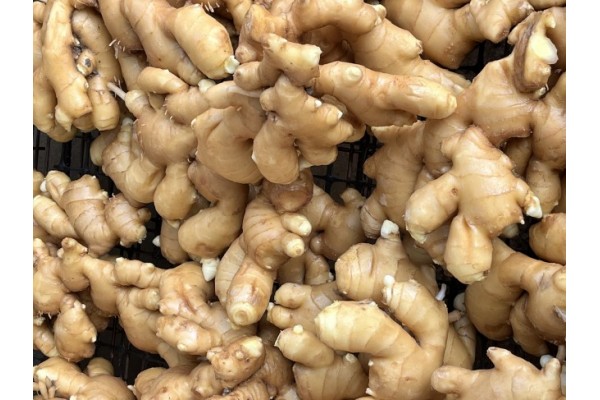 昌邑生姜市場(chǎng)最新價(jià)格指南，全面了解生姜市場(chǎng)行情與價(jià)格動(dòng)態(tài)
