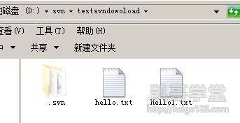 Jav最新網(wǎng)址探索，小巷深處的獨(dú)特風(fēng)味之旅