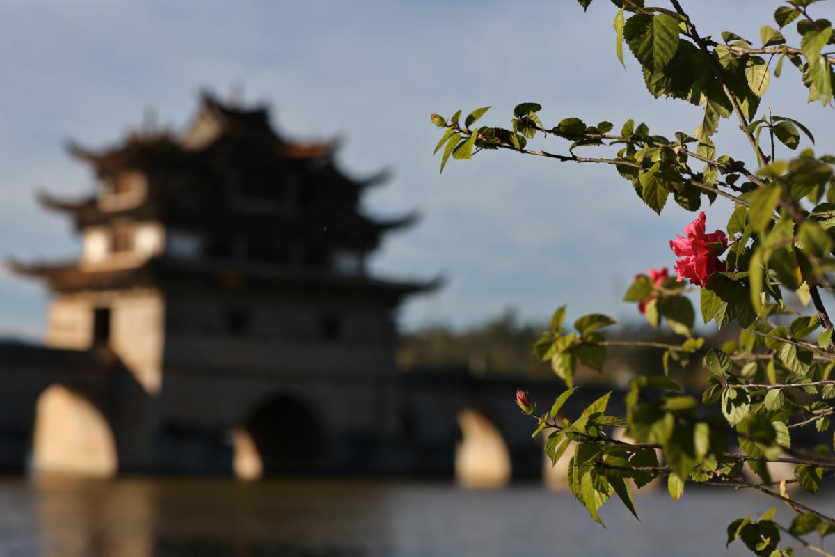 大冰最新力作，智能生活新紀(jì)元——科技與生活的完美融合