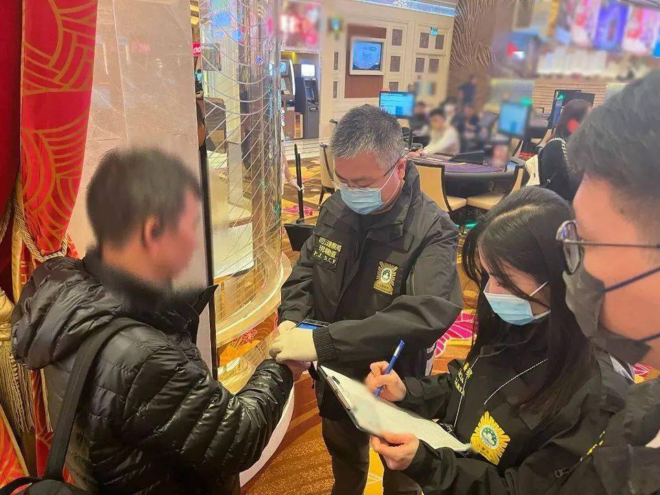 新澳門一肖一碼精準(zhǔn)資料公開,社會承擔(dān)實(shí)踐戰(zhàn)略_XRF83.344旅行助手版