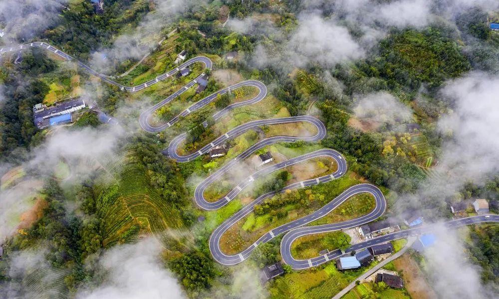 奉節(jié)云霧鄉(xiāng)的最新動態(tài)與溫馨日常,云霧中的快樂時光