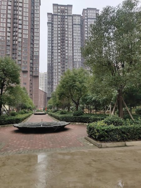 南陽(yáng)盛世御苑最新動(dòng)態(tài)揭秘，全面指南與步驟詳解