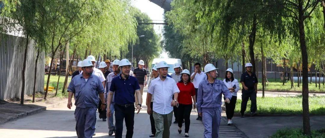 最新鍋爐工招聘信息揭秘，鍋爐工的溫馨日常故事探索