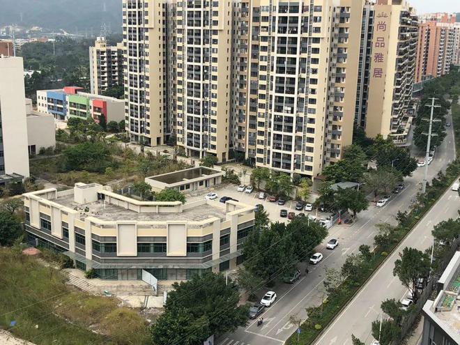 膠南山水雅居最新動(dòng)態(tài)，鄰里日常趣事與情感紐帶分享