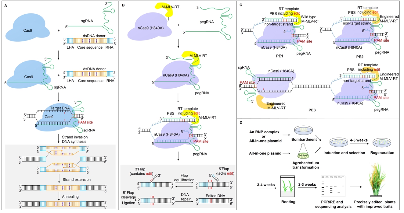 7777788888精準跑狗圖 拒絕改寫,數(shù)據(jù)引導執(zhí)行策略_個性版63.850