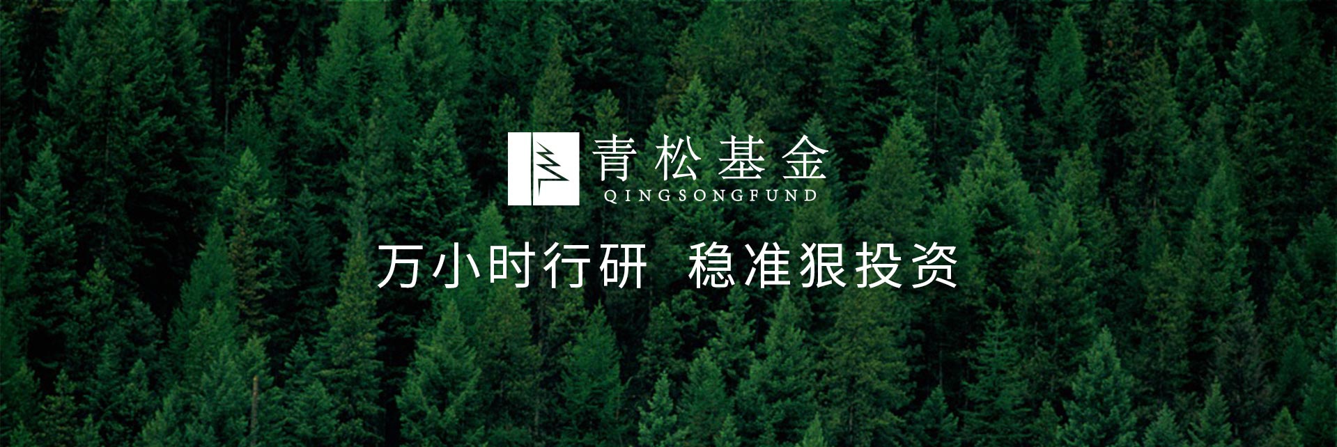 長青樹眾籌最新動態(tài)，背景、發(fā)展與時代地位探索