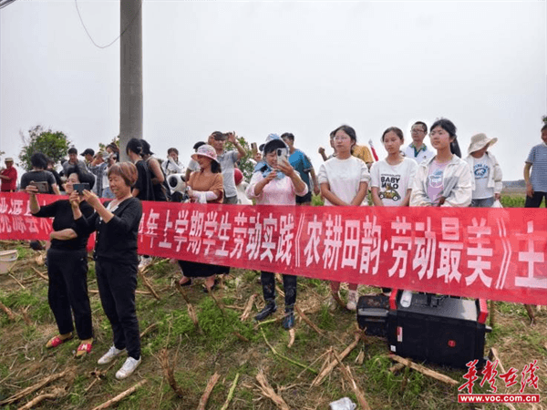 桃源木塘垸鄉(xiāng)新動態(tài)，趣事連連，真摯友情綻放鄉(xiāng)間