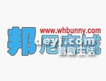 葫蘆島最新營(yíng)業(yè)員招聘動(dòng)態(tài)，背景分析與影響探討