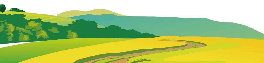 藍(lán)田縣未來藍(lán)圖，最新發(fā)展規(guī)劃揭秘