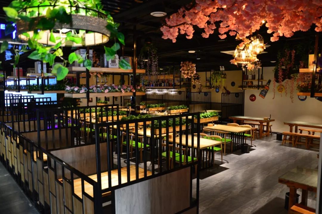 中餐廳最新一期音樂，熱門旋律與節(jié)目魅力的完美交融