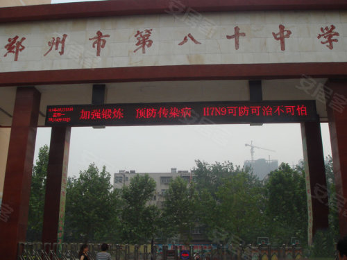 中原區(qū)九龍城最新動態(tài)深度解析，最新進(jìn)展與觀點(diǎn)闡述