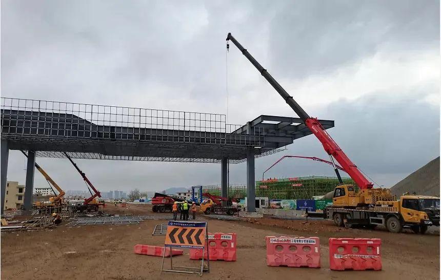 深度解析與探討，最新元龍劇情分析