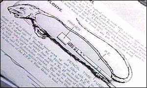 美國填尸最新進展，高科技重塑生活，未來科技魅力體驗