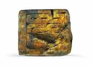 余厚蜀最新動(dòng)態(tài)，科技前沿探索與行業(yè)創(chuàng)新引領(lǐng)