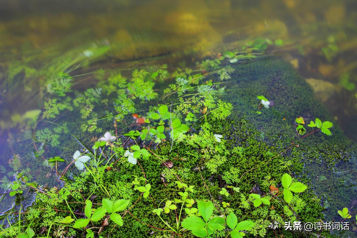 南山高樓崛起，背景、發(fā)展與時(shí)代地位全景解析