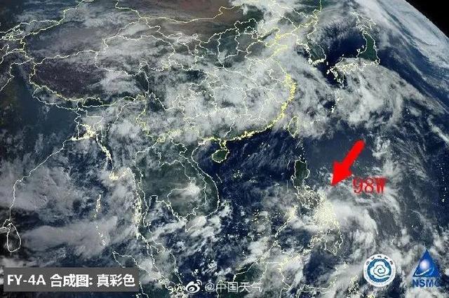 臺風(fēng)鸚鵡的最新動態(tài)，逆風(fēng)翱翔的力量與學(xué)習(xí)魅力