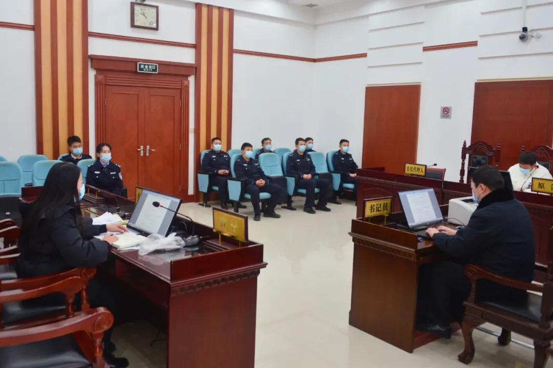 憲法案件最新動(dòng)態(tài)，小巷深處的情懷與特色小店的奇遇