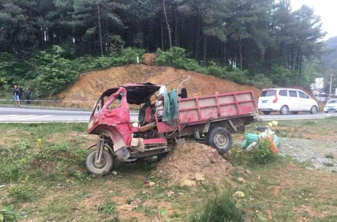 平山事故背后的溫馨故事，友情、愛與陪伴的奇遇