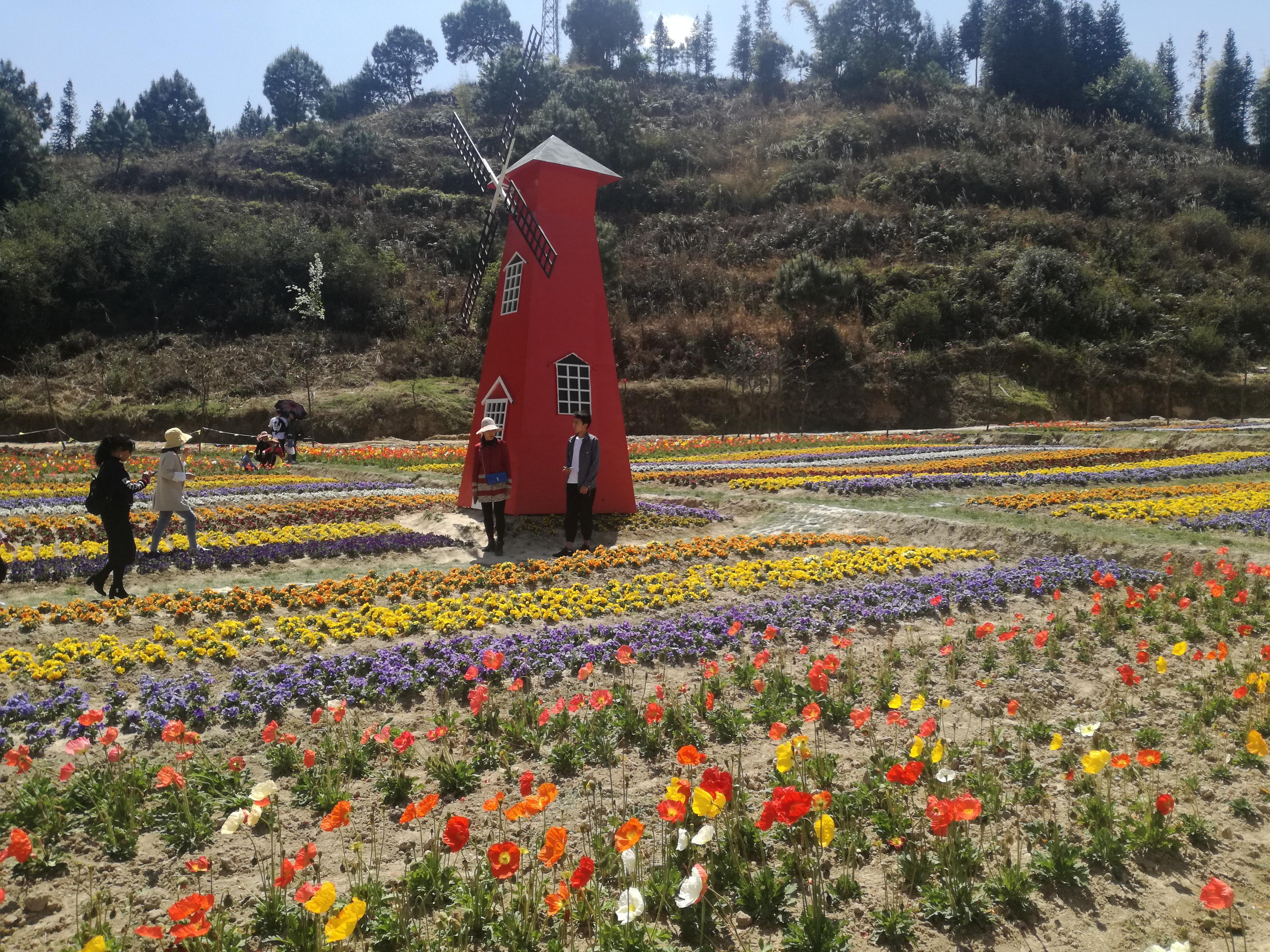 臨滄市最新探索，自然美景之旅，尋找內(nèi)心平和的旅程