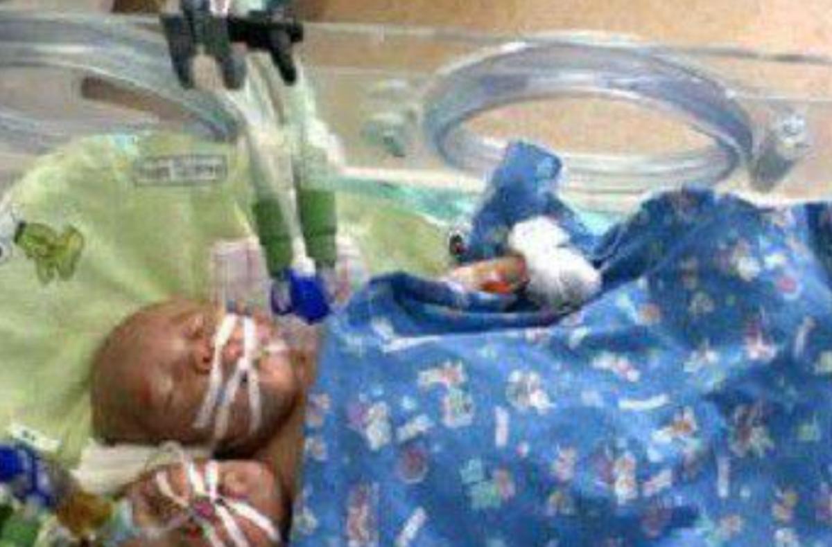 雙頭姐妹，時(shí)代背景下的傳奇故事最新進(jìn)展