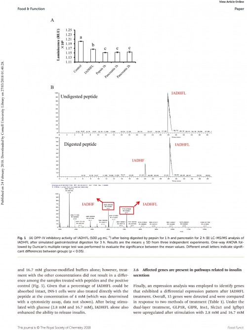 糖肽最新文獻(xiàn)，自然之旅的心靈探尋之旅，尋找內(nèi)心的寧靜