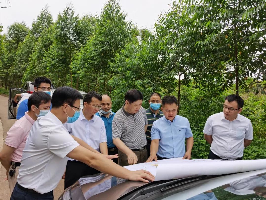 南寧龍象谷最新資訊，游玩指南與技能學(xué)習(xí)步驟全解析